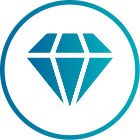 IconicElectrical_WebsiteLayout_ExcellenceIcon